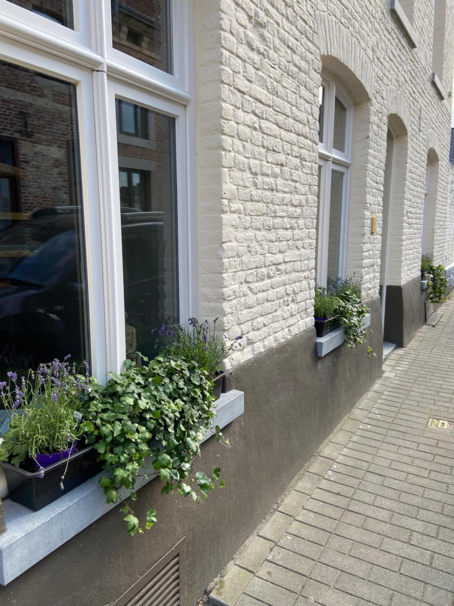 Begijnhofstudio'S Tongeren Kültér fotó